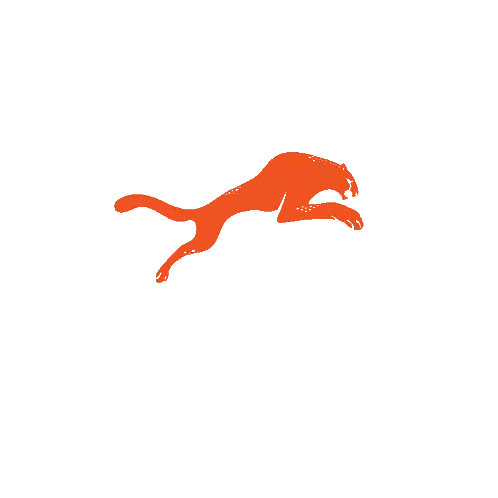 Orange Cheetah Jumping Sticker
