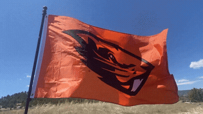 Orange Flag With Beaver Flying In Wind GIF