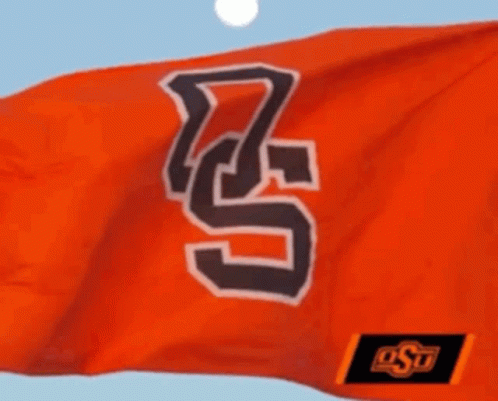 Orange Flag With Letter S Flying GIF
