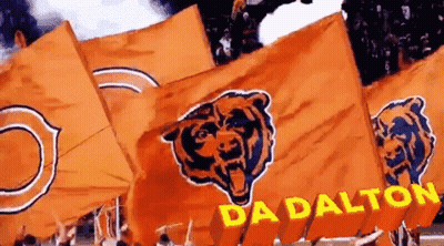 Orange Flags With Bears Saying Dalton GIF