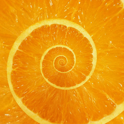 Orange Fruit Hypnosis Spiral GIF