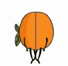 Orange Fruit Lovers Kissing  GIF