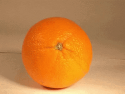 Orange Fruit Peel Montage GIF