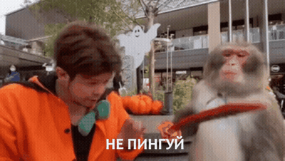 Orange-Jacketed Man Talking To Leashed Monkey, Ghost, Pumpkins GIF