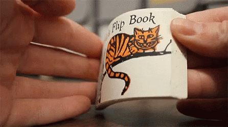 Orange Kitty On Tree Flipbook GIF