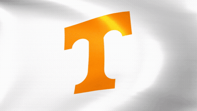 Orange Letter T GIF