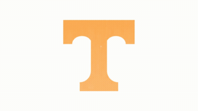 Orange Letter T On A White Background GIF