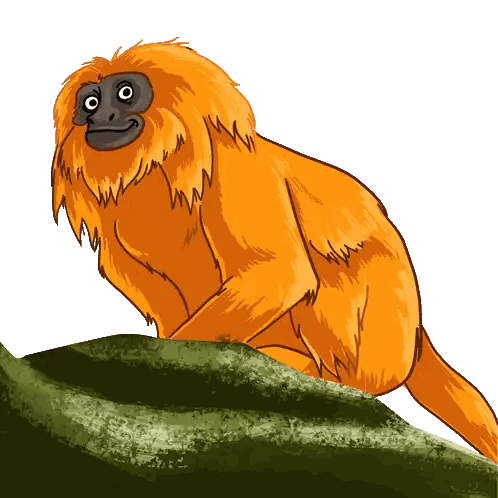 Orange Monkey With Black Face Sticker