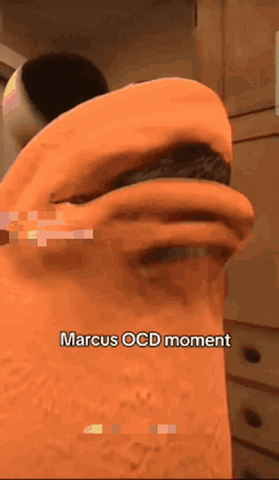 Orange Object Marcus OCD Moment GIF