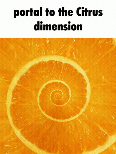 Orange Portal To The Citrus Dimension GIF