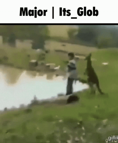Orange Robot Saying My Reaction To That Information GIF