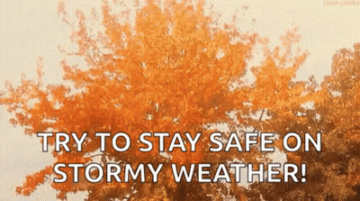 Orange Tree Saying Try To Stay Safe On Stormy Weather GIF