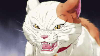 Orange White Cat With Yellow Eyes GIF