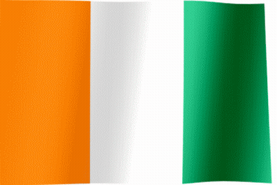 Orange White Green Flag Waving GIF