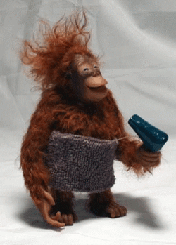 Orangutan Blow Drying His Hair Getting Ready GIF