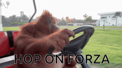 Orangutan Driving Golf Cart Saying Hop On Forza GIF