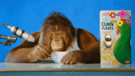 Orangutan Getting Interviewed Eating Cereals GIF