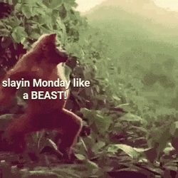 Orangutan Made It Through Monday GIF