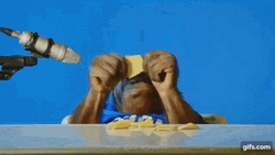 Orangutan Munching On Chips GIF
