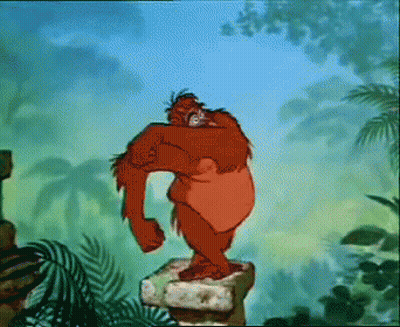 Orangutan Standing On Rock GIF
