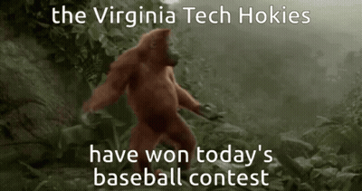 Orangutan With Caption Virginia Tech Hokies Won Today's Baseball Contest GIF