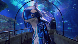Orca Blue Mascot GIF