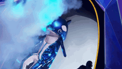 Orca On The Stage GIF