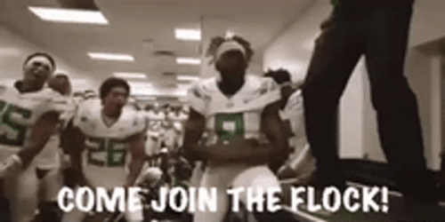 Oregon Ducks Come Join The Flock GIF