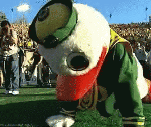 Oregon Ducks Push Ups GIF