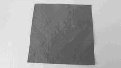 Origami Transforms To Rhino GIF
