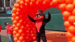 Orioles Mascot Grand Entrance GIF
