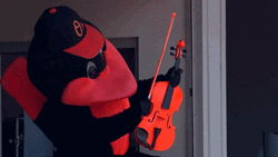 Orioles Mascot Playing Violin GIF