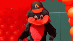 Orioles Win Mascot Showing Cap GIF