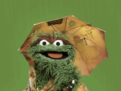 Oscar Grouch Laughing Pouring Rain GIF