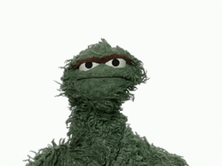 Oscar The Grouch Scam GIF