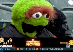 Oscar The Grouch Watching Football  Game GIF
