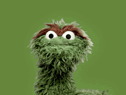 Oscar The Grouch You Serious Clark GIF