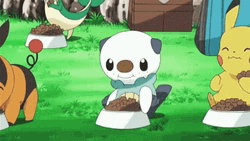Oshawott Eating All Food   GIF