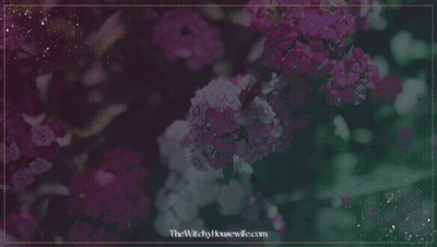 Ostara Blessings Sign GIF