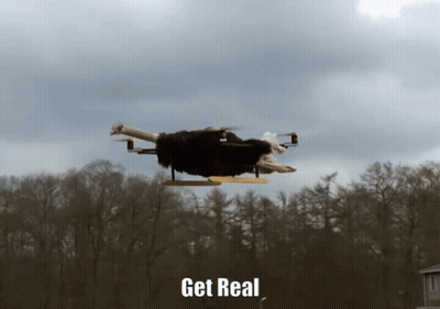 Ostrich Flying Saying Get Real GIF
