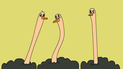 Ostrich Having Funny Chitchat GIF