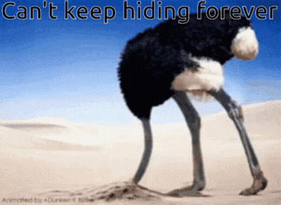 Ostrich In Sand Cant Keep Hiding Forever GIF