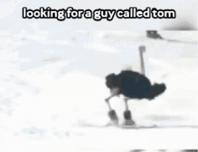 Ostrich On Snowboard Looking For Tom GIF