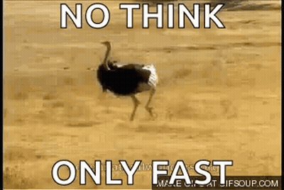 Ostrich Running In Desert No Think Only Fast GIF