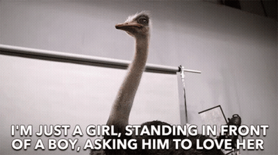 Ostrich Saying I'm Just A Girl Standing In Front Of A Boy GIF