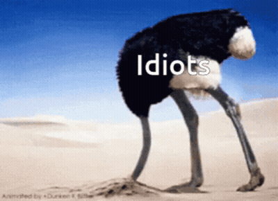 Ostrich Standing In Sand Saying Idiots GIF