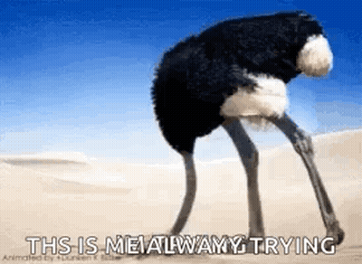 Ostrich Standing On Hind Legs In Desert Saying This Is Metalwamy Trying GIF