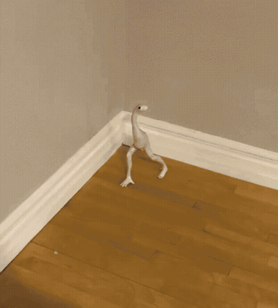 Ostrich Statue Walking On Wooden Floor GIF