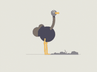 Ostrich With Yellow Beak Standing On Hind Legs GIF