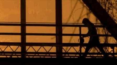 Oth Bridge GIF